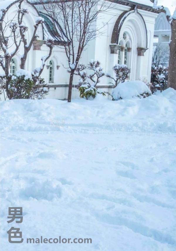 Whoseman-10-犬系男孩-安東尼-北海道特別企劃